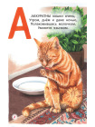 Кошачья азбука 2