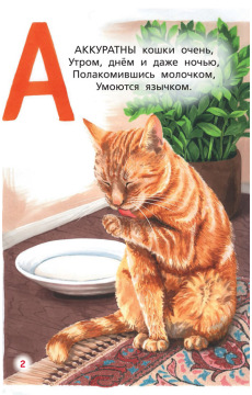 Кошачья азбука