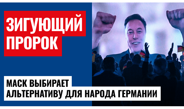 Маск призывает немцев голосовать за АдГ