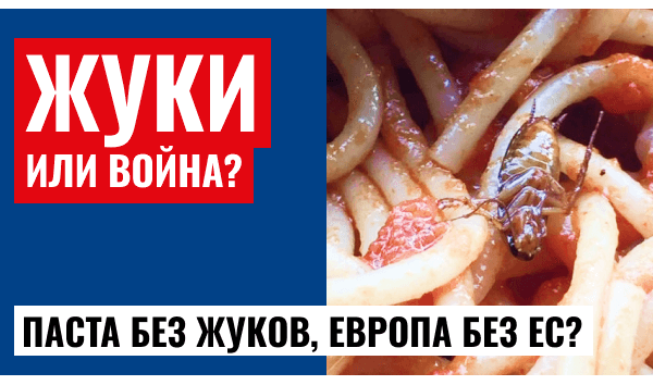 Пересборка Европы: как Трамп и Мелони меняют политический ландшафт