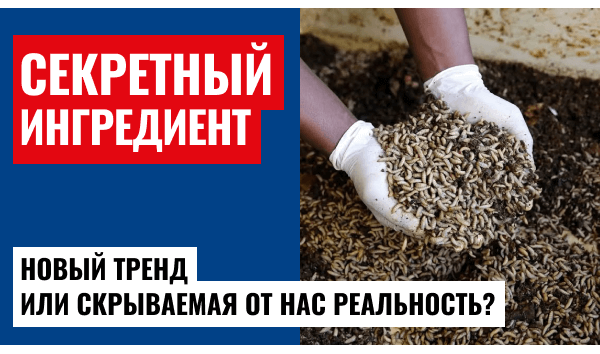 Мука из личинок: ваш хлеб больше не будет прежним!