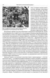 Восприятие отступнического разума