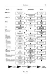 Психонетика 2.0. Основы постинформационных технологий