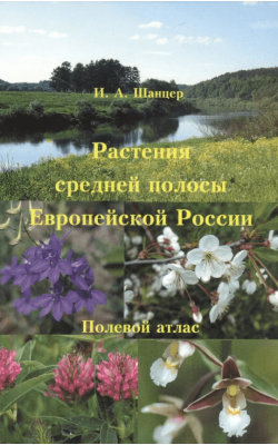 Растения средней полосы Европейской России. Поле...