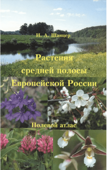 Растения средней полосы Европейской России. Полевой атлас