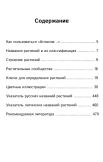 Растения средней полосы Европейской России. Полевой атлас