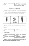 Арифметика. Русский язык. Учебники для 3 класса [1937-1949]