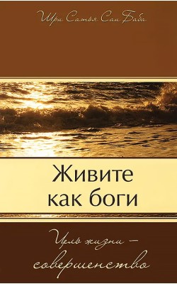 Живите как боги. Цель жизни - совершенство